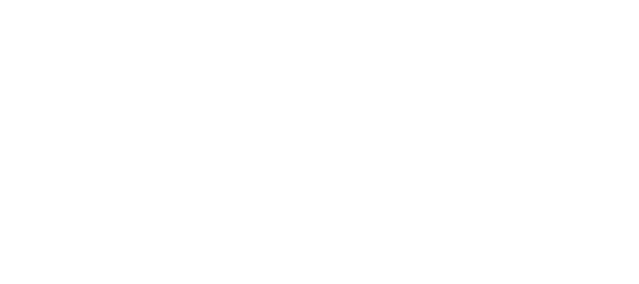 Wolher logo