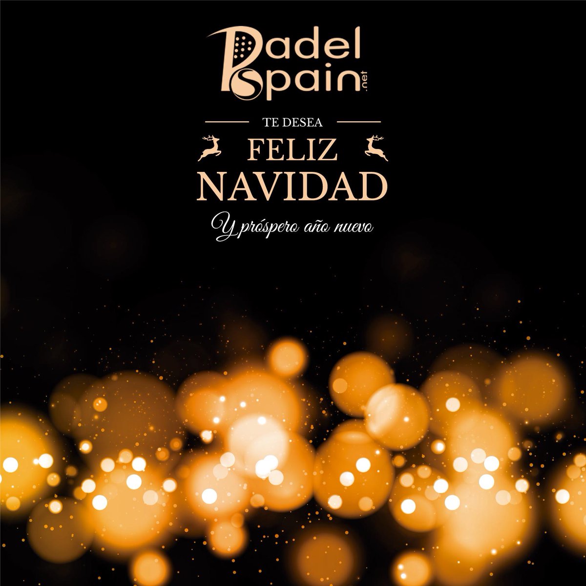 Feliz 2019 PadelSpain