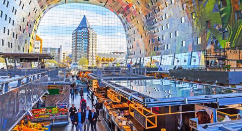 Pádel tulipán en la ciudad portuaria de Rotterdam