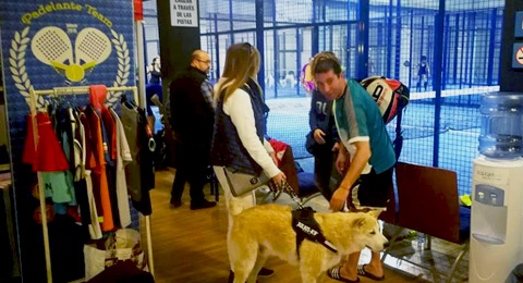 El II Torneo Contra el Maltrato y Abandono Animal fue una fiesta del pádel solidario