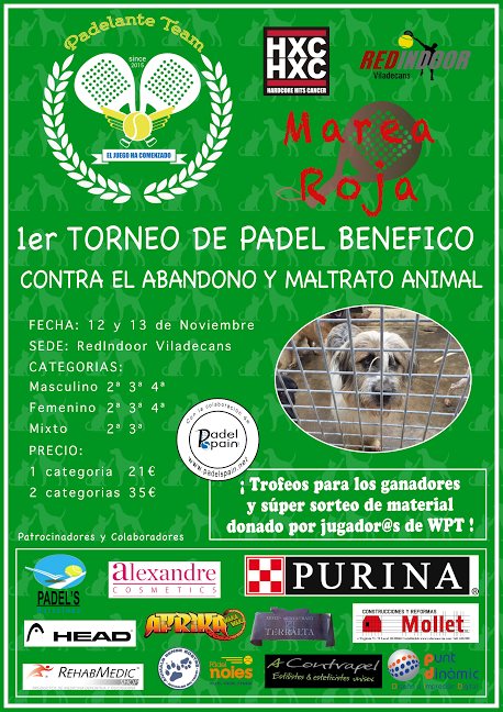 Torneo solidario animales